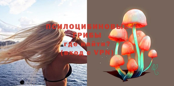 шишки Абинск