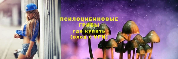шишки Абинск