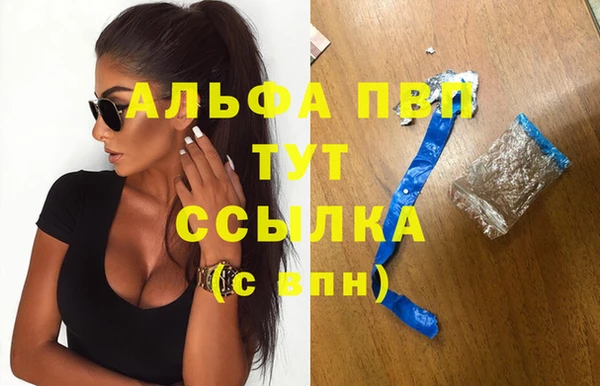 шишки Абинск