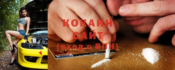 соль ск Абаза