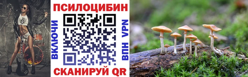 Галлюциногенные грибы мицелий  Стрежевой 